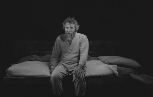 The Turin Horse