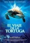 Cartula de la pelcula El viaje de la tortuga
