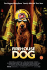 Cartula de la pelcula Perro al rescate (Firehouse Dog)