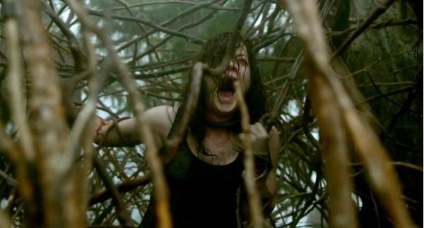 Imagen de Posesion infernal