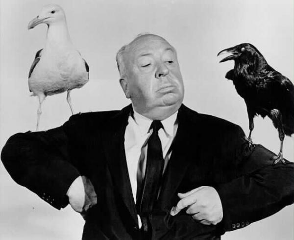 Hitchcock p&aacute;jaros