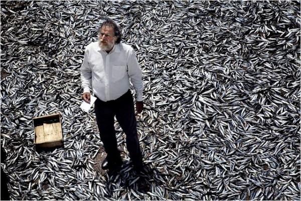 Fotograma de Terraferma