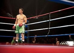 Imagen de The fighter