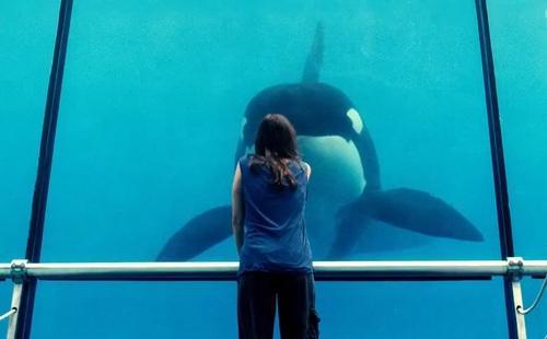 De &oacute;xido y hueso