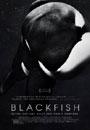 Car�tula de la pel�cula Blackfish