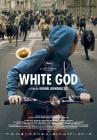 Carátula de la película White god
