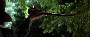 Fotograma de Indiana Jones