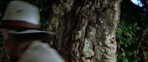 Fotograma de Indiana Jones