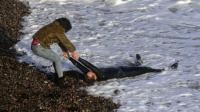 Under the Skin, en la playa