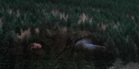 Paisaje de Under The Skin